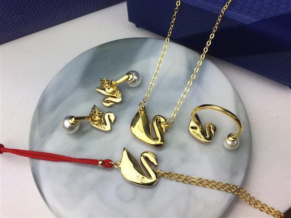 20242615450164 40404035